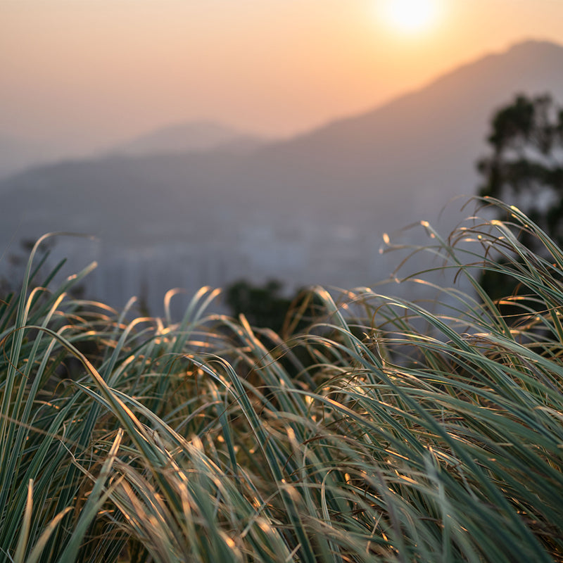 Viltrox AF 25mm F1.7 AIR APS-C X富士フイルムX