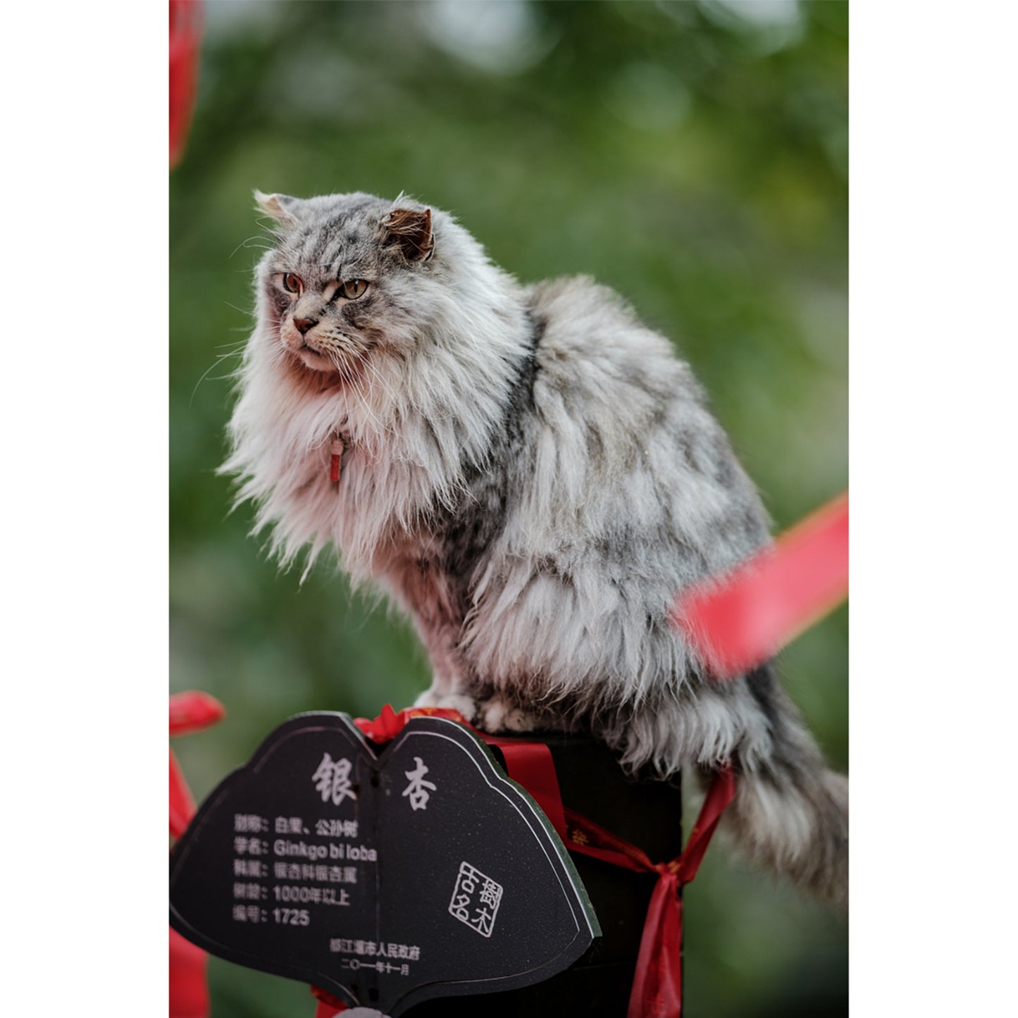 Viltrox AF 135mm F1.8 LAB フルサイズ Z ニコンZマウント